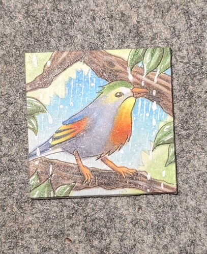 PXL_20231217_202446575