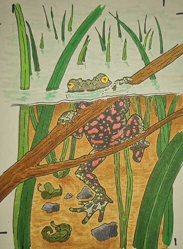 IMG_20230424_204229_edit_1571278538549818