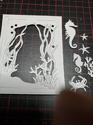 IMG_20230108_0617171