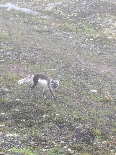 PXL_20240703_184703896.MP