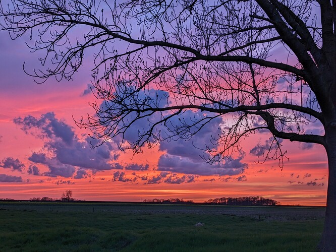 PXL_20240407_182800446