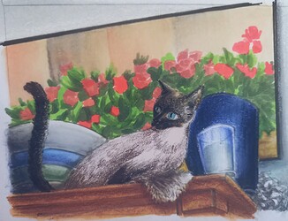 Picsart_22-07-30_18-04-47-882