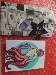 IMG_20221223_125619_1