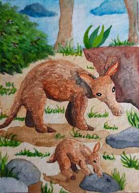 WhatsApp Image 2021-04-30 at 15.09.29