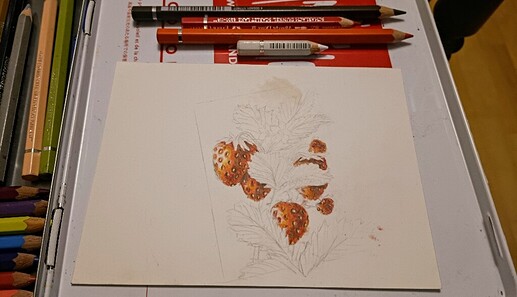 IMG_20240120_170359_983~2