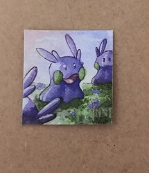 IMG_20221222_005339_edit_162489503448120