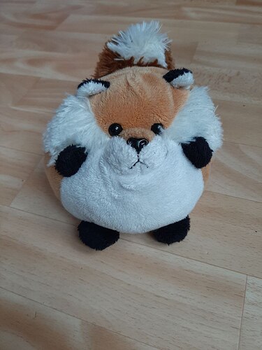 photo_2025-10-27_11-44-37