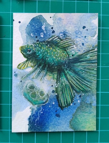 IMG_20240627_103817061