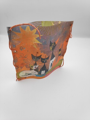 IMG_20210616_215422_1