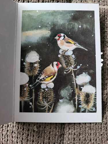 403769869_875271554080467_3621501428306443523_n (1)