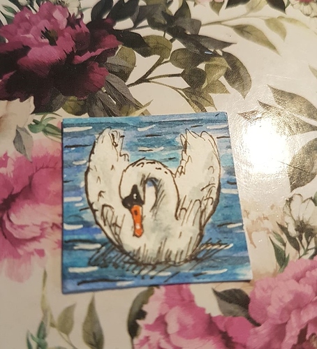 130902064_978847005858233_4171066838151930477_n