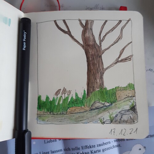 16397383274022629561424982742074