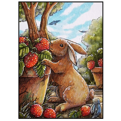 IMG_20231104_105753_edit_1694301726479486-03