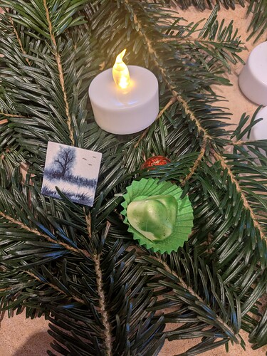 PXL_20241205_081314169