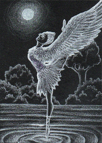 Kakao 251 - Schwanensee