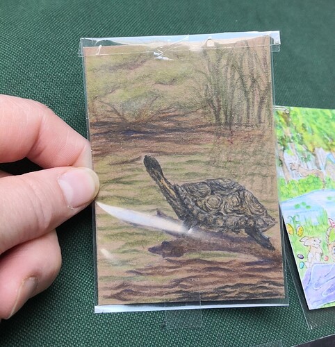 IMG_20240812_085534_edit_892645103926290