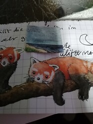 IMG_20211209_1711371