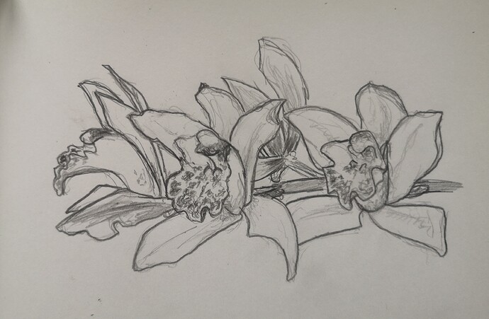 IMG_20240304_145458_edit_283812228080129