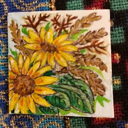 IMG_20241220_182524_edit_493021249128935