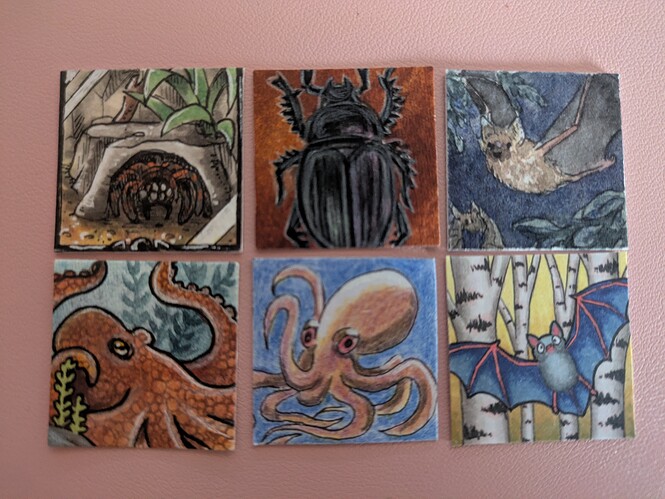 PXL_20251224_104714794~2