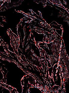 Karte x20 Holo Drache