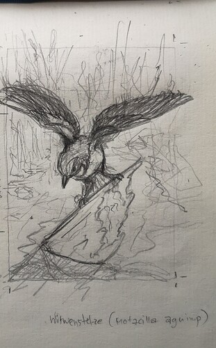 IMG_20240916_170428_edit_3380249498002950