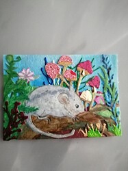 IMG_20210527_1405561