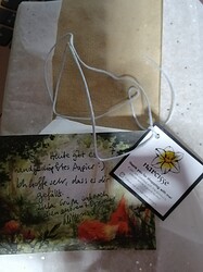 IMG_20211206_1953361