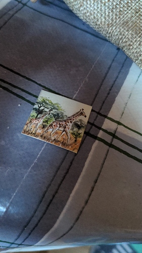 IMG_20201210_101108_821