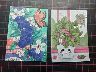 WhatsApp Image 2025-07-13 at 13.01.05