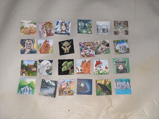 PXL_20221224_080249132