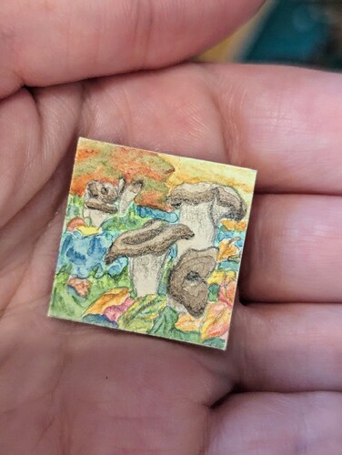 PXL_20231219_083833115