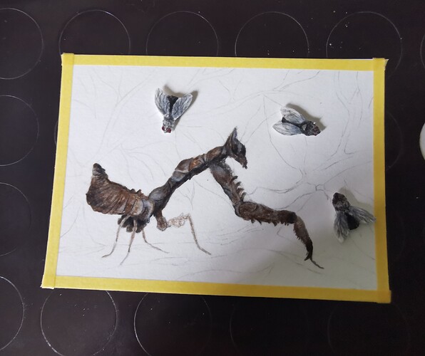 IMG_20220705_200311_edit_1213272334581529