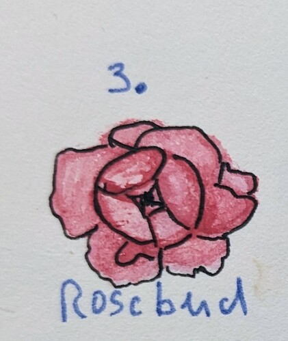 PXL_20251203_123049553~2