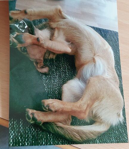 IMG_20220601_000656_802