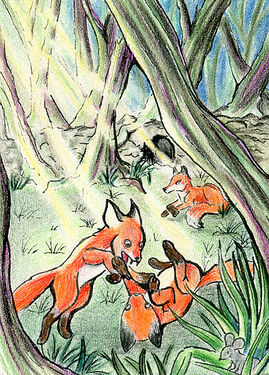 588 - Spielende Welpen