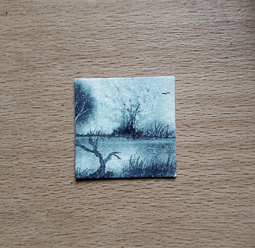 IMG_20241205_141337650~2