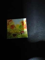 IMG_20201212_0548271