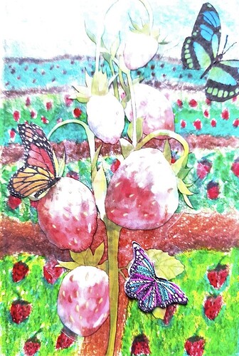 Screenshot_20230829-195140_Adobe Scan_Original