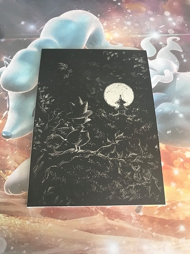 110336534_2954288338033999_2672237601059065958_n