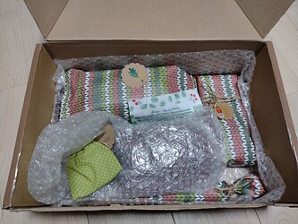 IMG_20231101_194039791