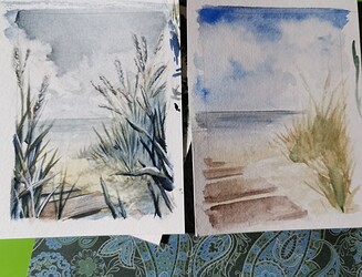 IMG_20220216_160129_edit_53957253287599