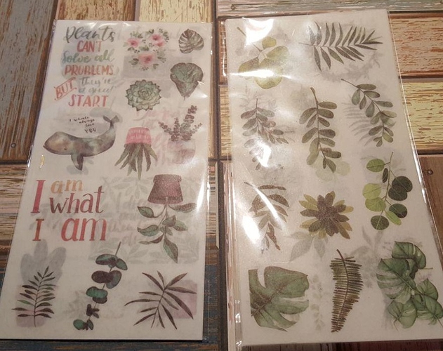 photo_2019-12-16_10-14-27