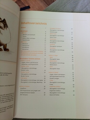 IMG_20220826_144050_183