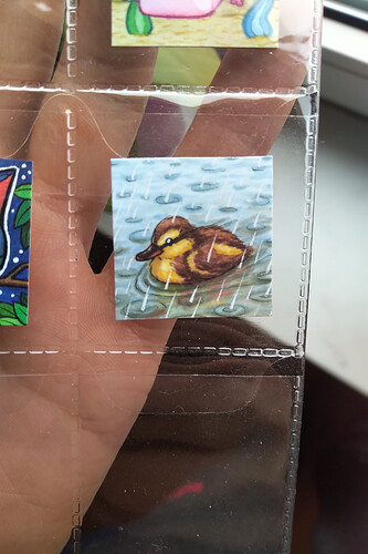 IMG_20221205_1214464