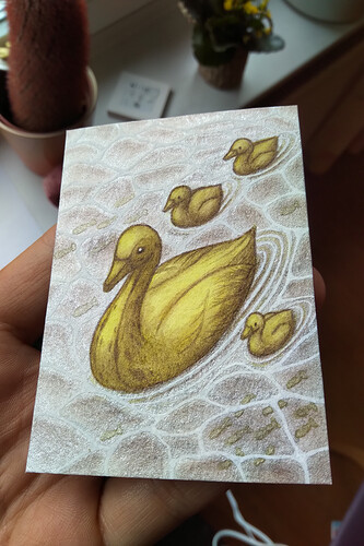 IMG_20250615_1806399