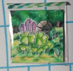 IMG_20231216_110815_edit_225163498935953