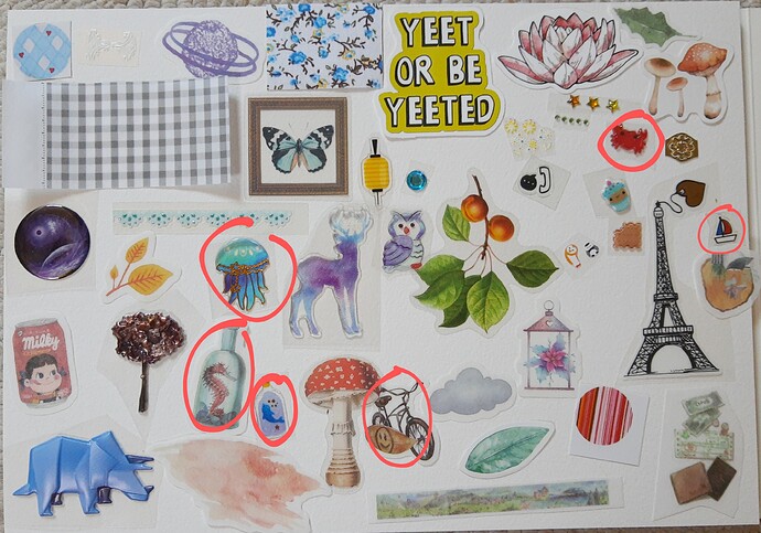 IMG_20220618_121335878~2