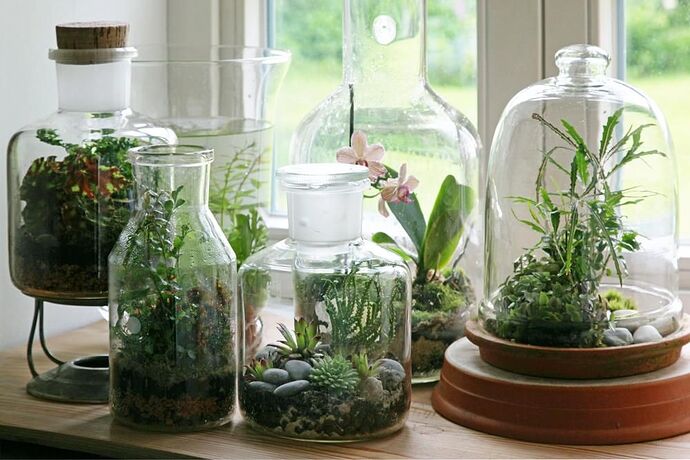 5e977860768551d7fd39680a6742dabd