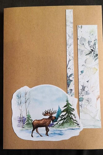 IMG_20221201_115310_edit_354950953794273